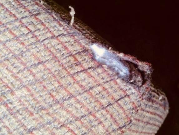 Fabric Tear Repair — before repair