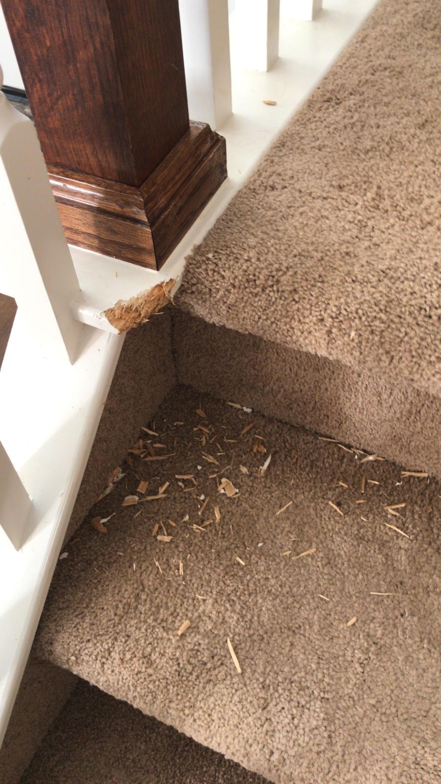 Stair Post Dog Damage Repair — before repair