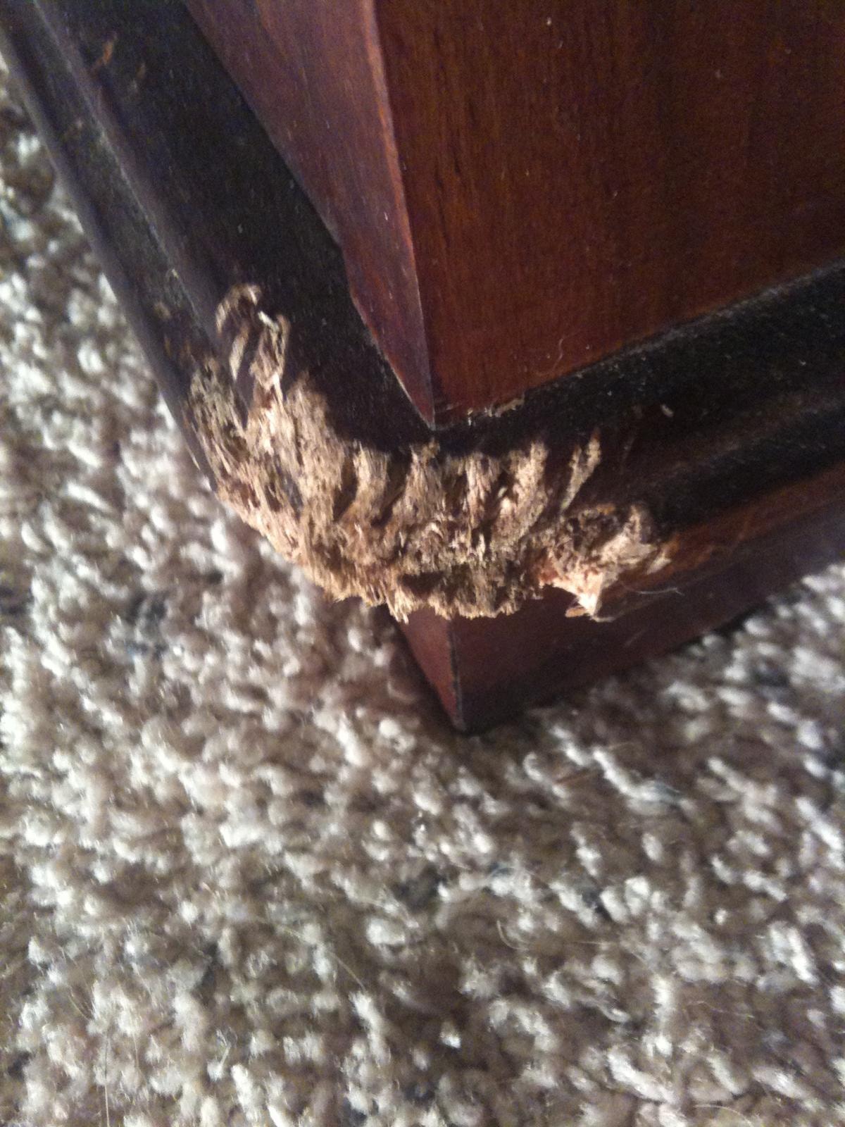 Ornate Wood Corner Repair — before repair